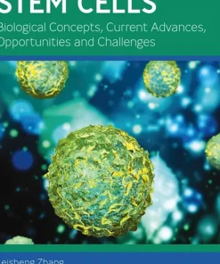 Mesenchymal Stem Cells