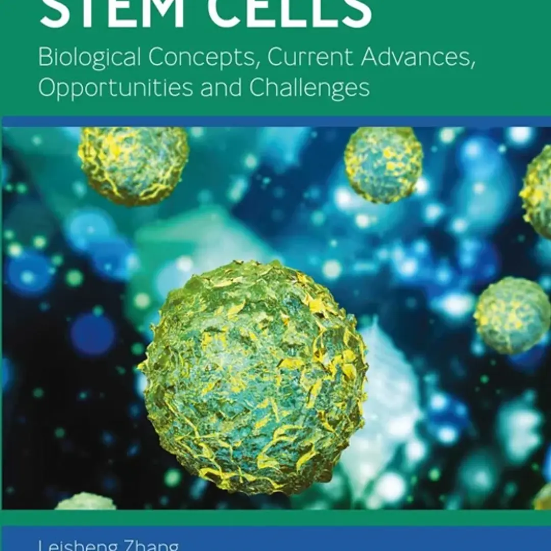 Mesenchymal Stem Cells