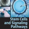 Stem Cells and Signaling Pathways