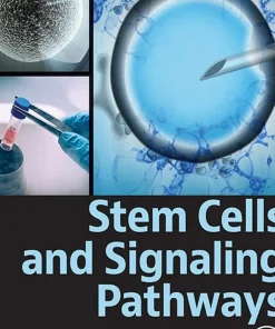 Stem Cells and Signaling Pathways