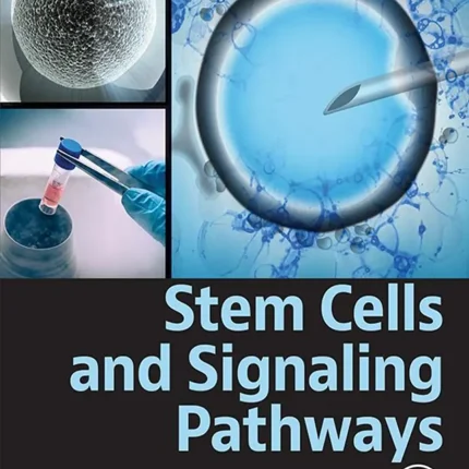 Stem Cells and Signaling Pathways