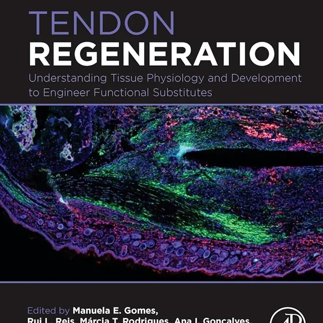 Tendon Regeneration