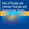 Atlas of Peculiar and Common Testicular and Paratesticular Tumors