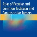 Atlas of Peculiar and Common Testicular and Paratesticular Tumors