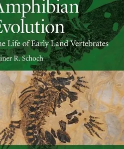 Amphibian Evolution The Life of Early Land Vertebrates