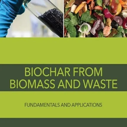 Biochar from Biomass and Waste