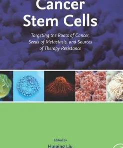 Cancer Stem Cells