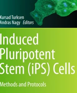 Induced Pluripotent Stem (Ips) Cells