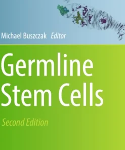 Germline Stem Cells