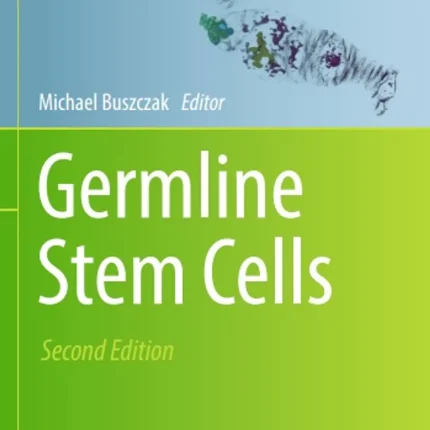 Germline Stem Cells