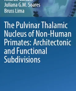 The Pulvinar Thalamic Nucleus of Non-Human Primates