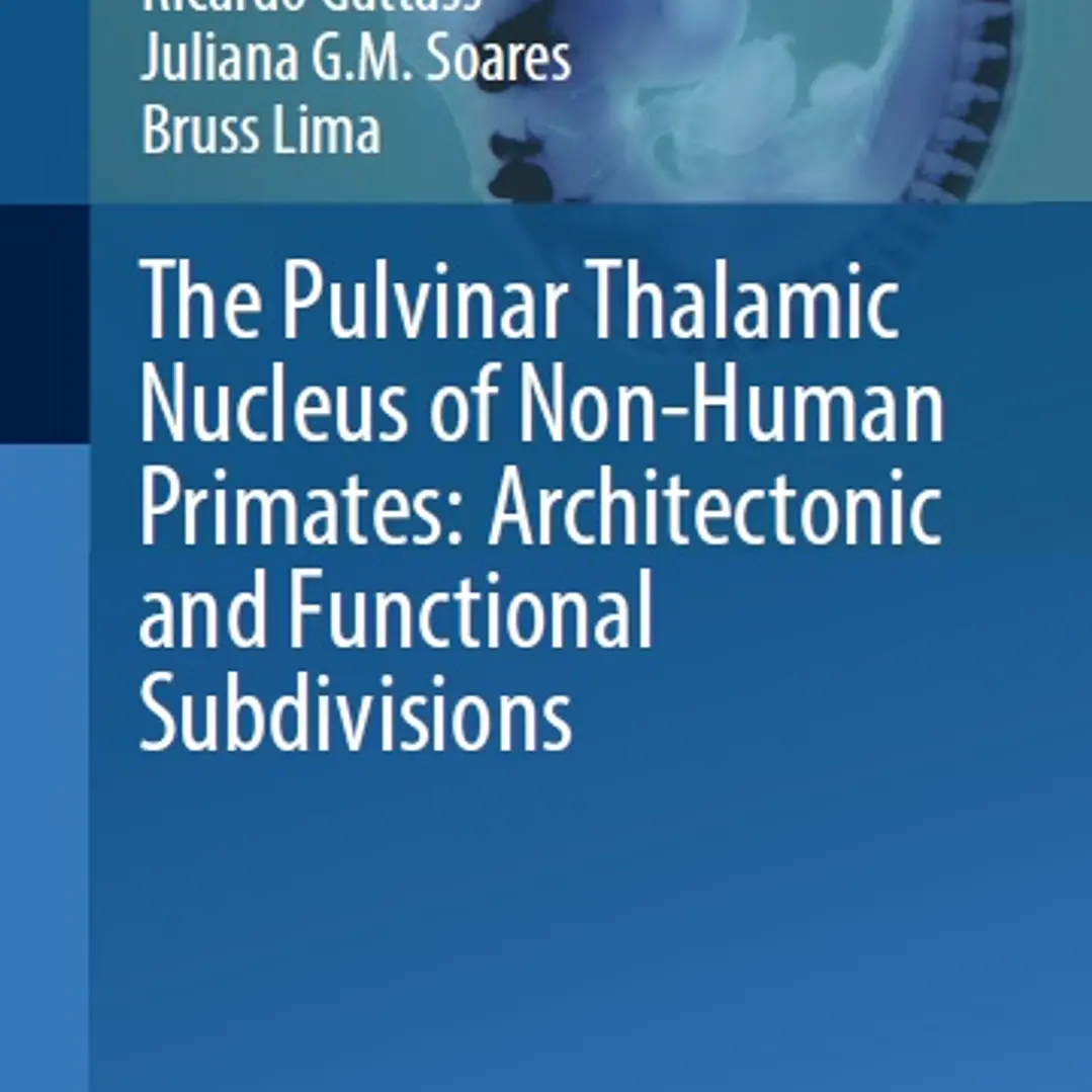 The Pulvinar Thalamic Nucleus of Non-Human Primates