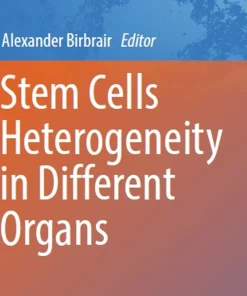 Stem Cells Heterogeneity in Different Organs