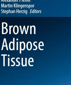 Brown Adipose Tissue