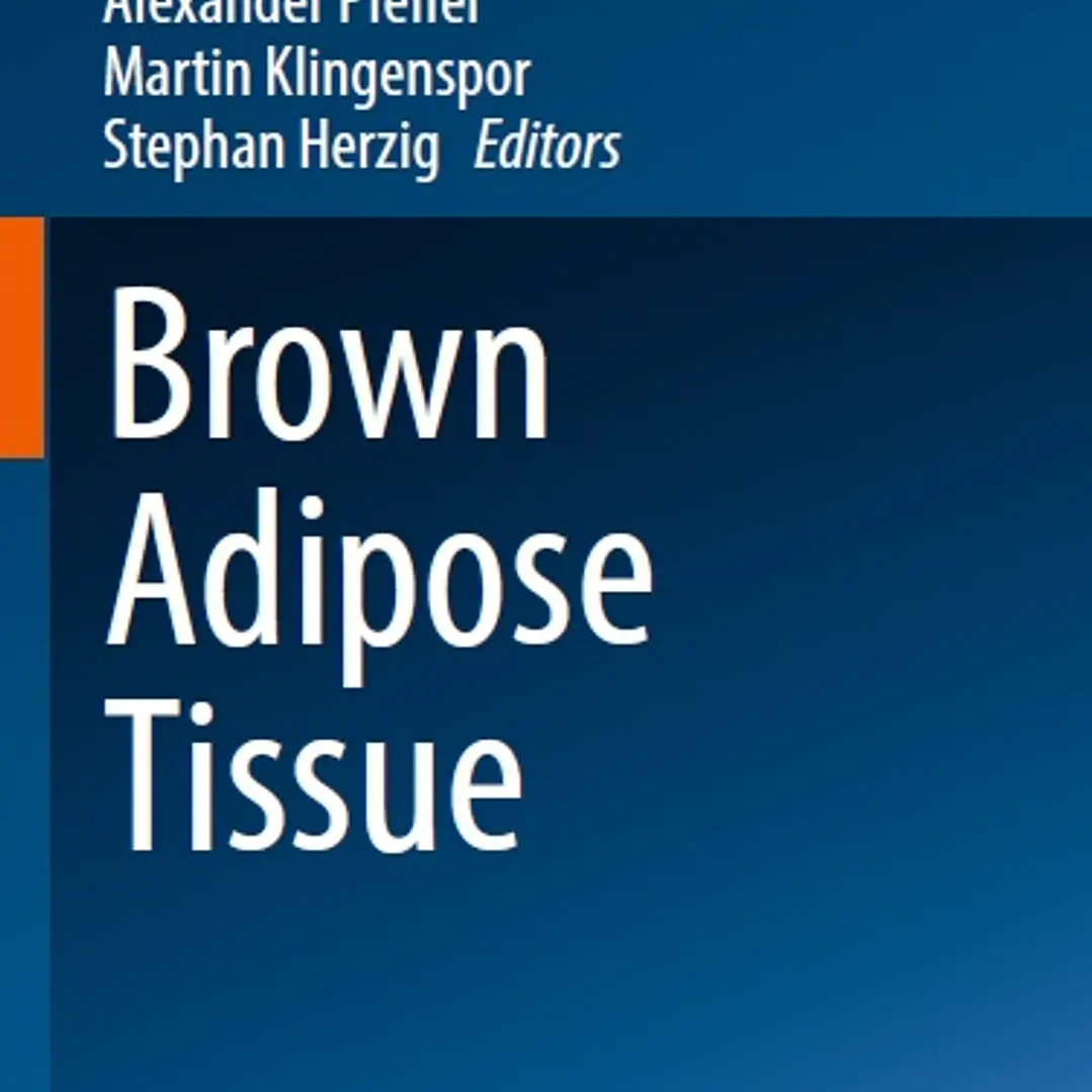 Brown Adipose Tissue