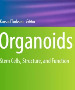 Organoids Stem Cells Structure and Function