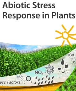 Abiotic Stress Response in Plants