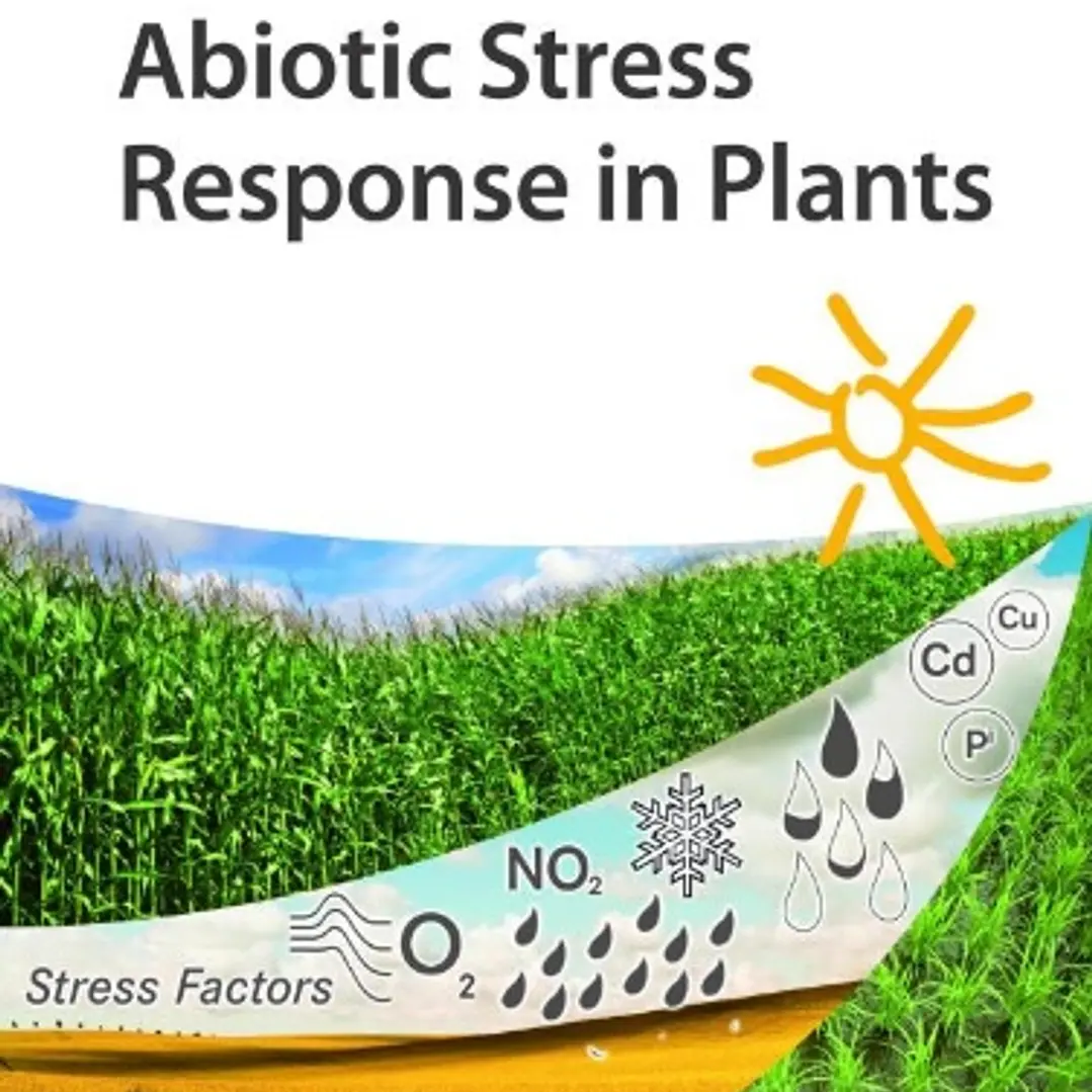Abiotic Stress Response in Plants