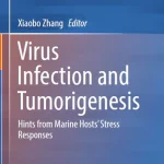 Virus Infection and Tumorigenesis