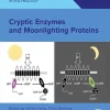 Cryptic Enzymes and Moonlighting