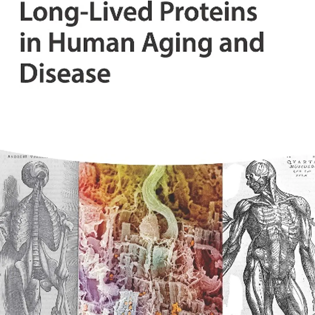 Long-lived Proteins in Human Aging and Disease