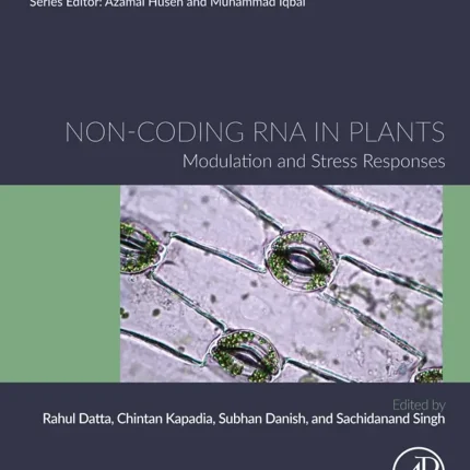 Non-coding RNA in Plants Modulation and Stress Responses