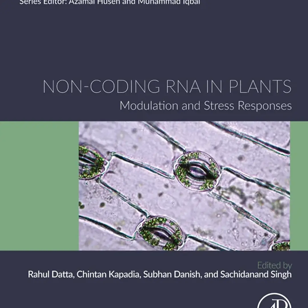 Non-coding RNA in Plants Modulation and Stress Responses