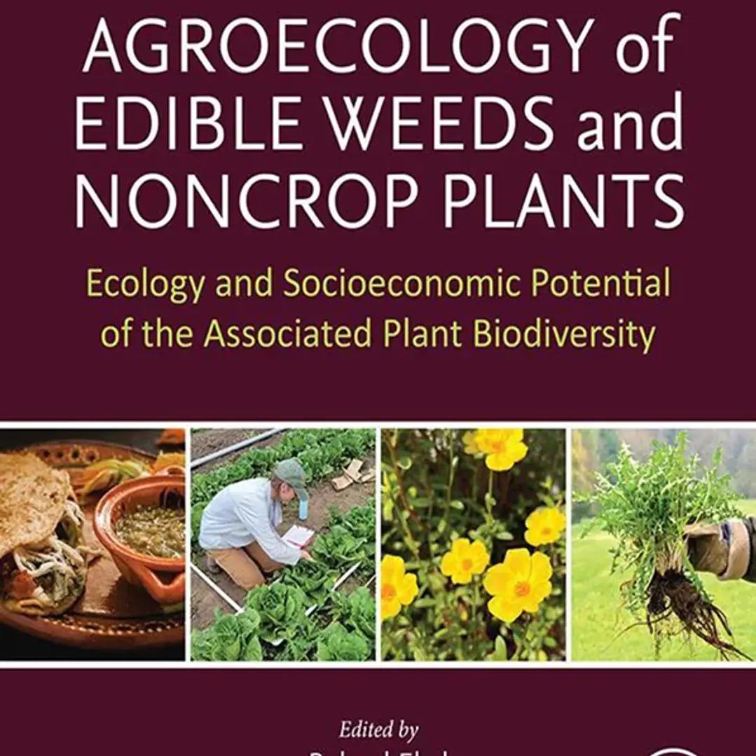 Agroecology of Edible Weeds and Non-Crop Plants