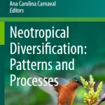 Neotropical Diversification Patterns and Processes