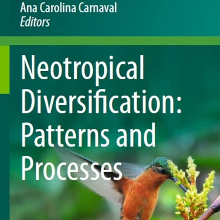 Neotropical Diversification Patterns and Processes