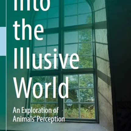 Into the Illusive World