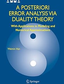 A Posteriori Error Analysis Via Duality Theory