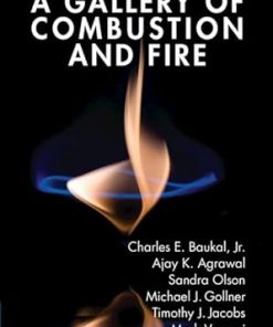 A Gallery of Combustion and Fire