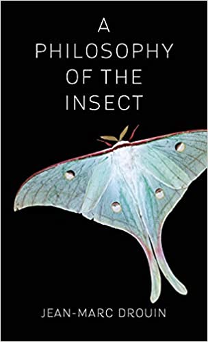 A Philosophy of the Insect