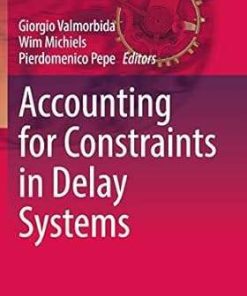 Accounting for Constraints in Delay Systems
