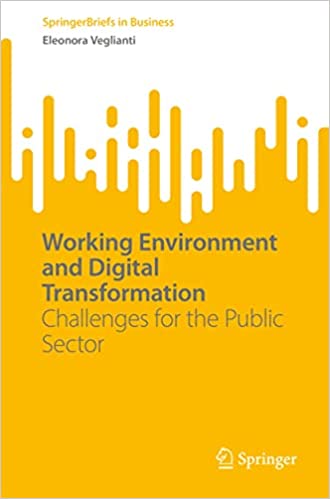 Working Environment and Digital Transformation Challenges for the Public Sector