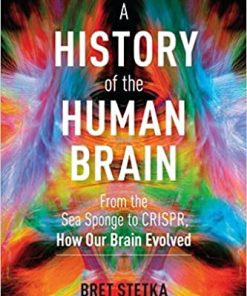 A History of the Human Brain
