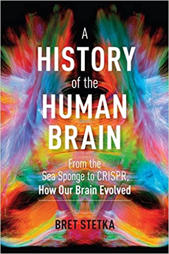 A History of the Human Brain