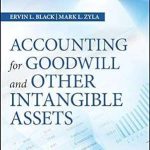 Accounting for Goodwill and Other Intangible Assets
