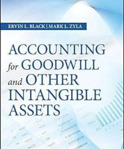 Accounting for Goodwill and Other Intangible Assets