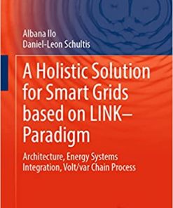 A Holistic Solution for Smart Grids Based on Link- Paradigm