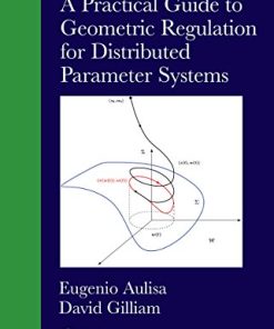 A Practical Guide to Geometric Regulation for Distributed Parameter Systems