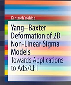 Yang-Baxter Deformation of 2D Non-Linear Sigma Models Towards Applications to AdS/CFT
