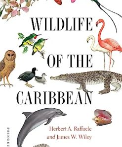 Wildlife of the Caribbean