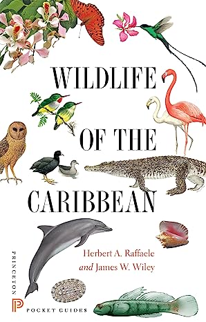 Wildlife of the Caribbean