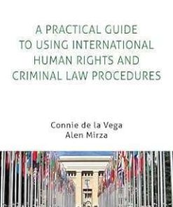 A Practical Guide to Using International Human Rights and Criminal Law Procedures