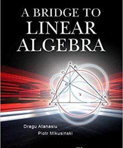 A Bridge to Linear Algebra