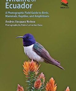 Wildlife of Ecuador A Photographic Field Guide to Birds Mammals Reptiles and Amphibians