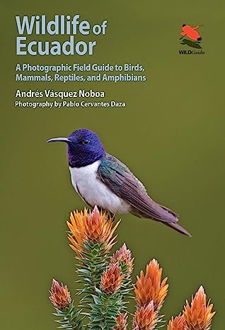 Wildlife of Ecuador A Photographic Field Guide to Birds Mammals Reptiles and Amphibians