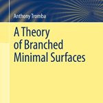 A Theory of Branched Minimal Surfaces